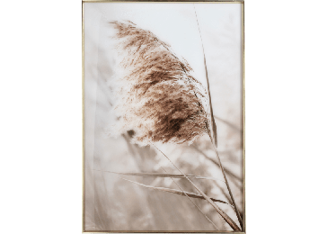 Ukrasna slika, Breeze A 70x100