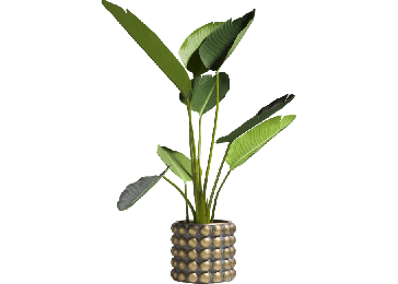 Tegla za cvijeće, Sara 21 cm