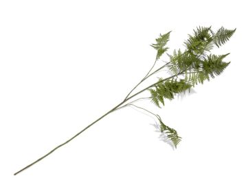 Dekoracija, Asparagus 135 cm