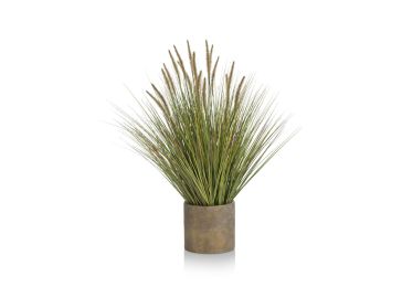 Dekoracija, Pennisetum 58 cm